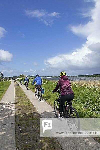 Bicycle tour  Sieseby  Schlei  Schleswig-Holstein  Germany  Europe