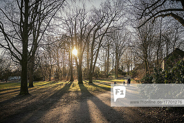 Sonniger Januartag im Blankeneser Hessepark. Eine Mutter ist mit ihren Kindern unterwegs  Gegenlicht.