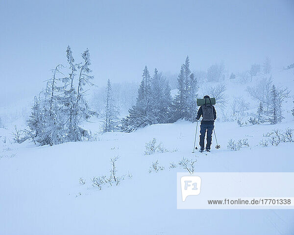 Young woman hiking in snow