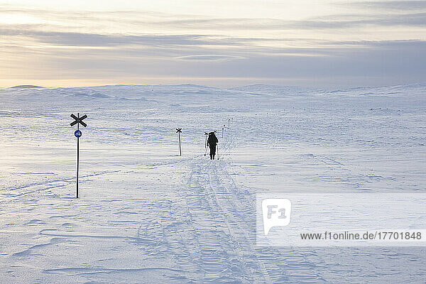 Woman cross-country skiing at sunset in Rogen Nature Reserve  Sweden