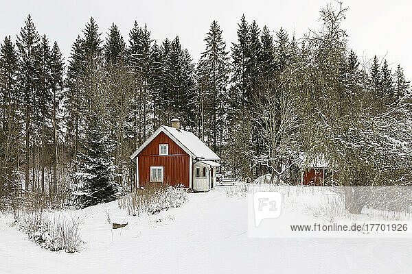 Cabin in snowy forest