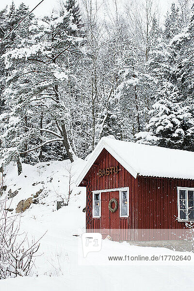 Cabin and forest in snow