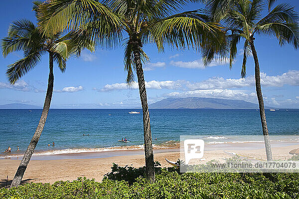 Touristen genießen die Zeit im Wasser am Maluaka Beach  wo Palmen den Sand säumen. Dieser Strand grenzt an das Maui Prince Hotel; Makena  Maui  Hawaii  Vereinigte Staaten von Amerika