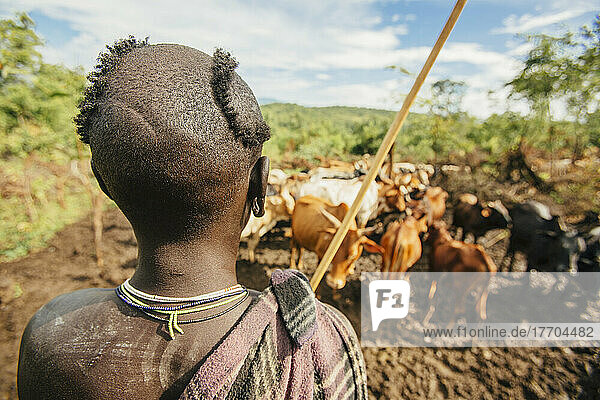 Rinderhirten vom Stamm der Suri (Surma)  Region Omo  Südwest-Äthiopien; Kibish  Äthiopien