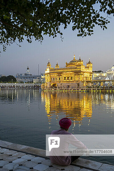 Sikh man by the Golden Temple (Sri Harmandir Sahib) Gurdwara and Sarovar (Pool of Nectar); Amritsar  Punjab  India