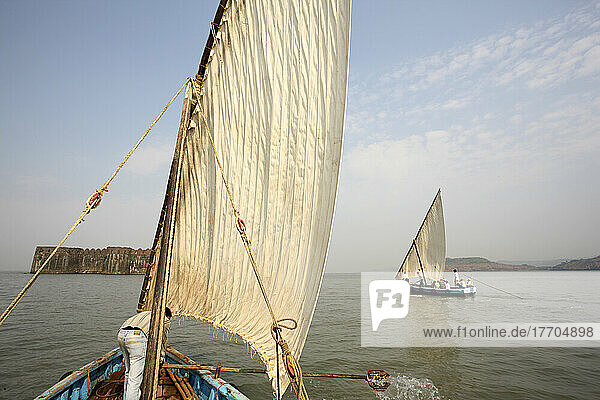 Fischerboote mit Segeln an der Küste des Arabischen Meeres; Murud  Maharashtra  Indien