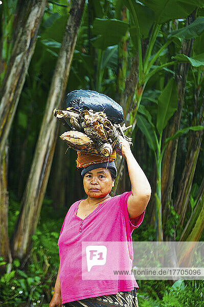 Eine Frau trägt eine Vielzahl von Gegenständen auf ihrem Kopf; Bali  Indonesien