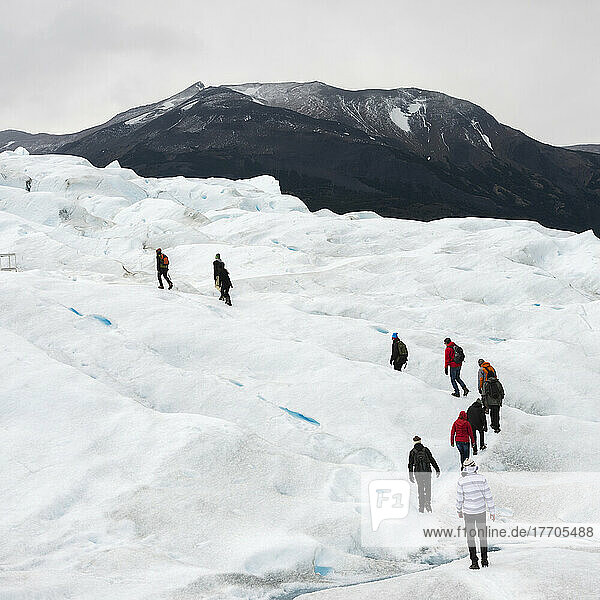 Touristen wandern auf dem Moreno-Gletscher  Nationalpark Los Glaciares; Provinz Santa Cruz  Argentinien