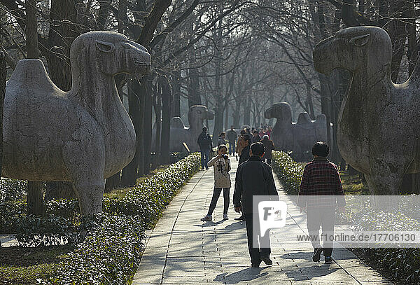 Avenue of sculptures at Mingxiaoling  the tomb of the first Ming dynasty emperor; Nanjing  Jiangsu province  China