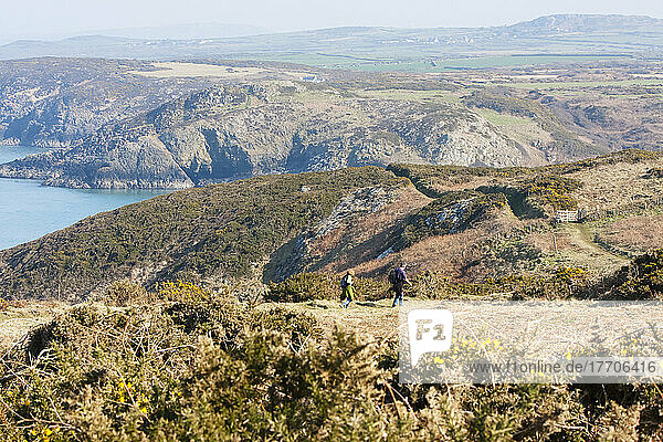 Two Hikers Near Strumble Head On The Pembrokeshire Coast Path  South West Wales; Pembrokeshire  Wales
