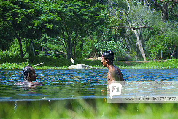 Vater und Sohn schwimmen im Wasser; Ulpotha  Embogama  Sri Lanka