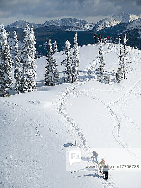 Three Skiers Skiing Up The Mountain; Fernie  British Columbia  Canada