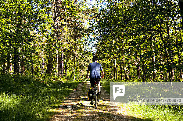Radfahrer auf einem Radweg um Brockenhurst  New Forest National Park  Hampshire  Großbritannien