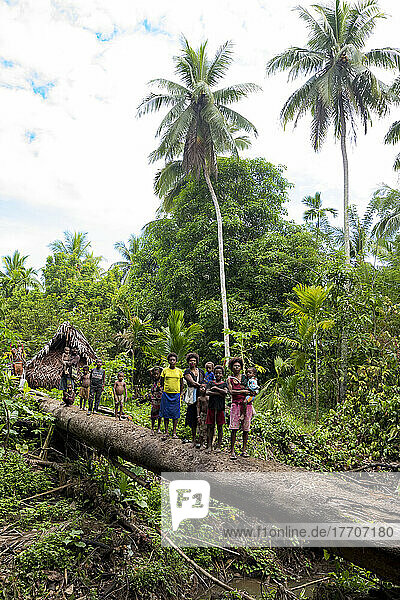 Dorfbewohner auf einer Brücke aus umgestürzten Bäumen über einer Schlucht in Madang  Papua-Neuguinea; Madang  Provinz Madang  Papua-Neuguinea