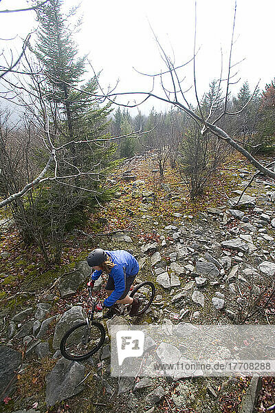 Mountain biking on Tea Creek Mountain Trail  Pocahontas County  West Virginia  USA; West Virginia  United States of America
