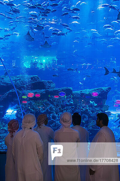 Männer in traditionellen arbischen Dishdashas mit Blick auf das Aquarium in der Dubai Mall; Dubai  Vereinigte Arabische Emirate