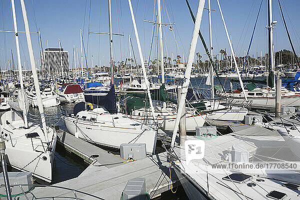 Ein geschäftiger Hafen voller Boote; Kalifornien  Vereinigte Staaten von Amerika