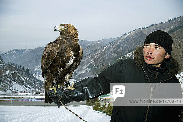 A Man Holding An Eagle On His Arm  Posing For Tourist Photos At A Tourist Spot In The Mountains Around Almaty  Almaty  Kazakhstan