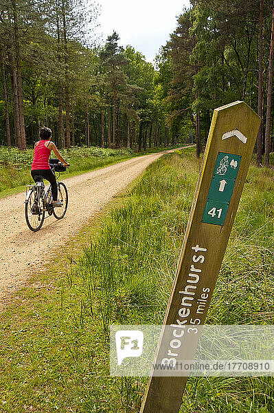 Radfahrer auf einem Radweg um Brockenhurst  New Forest National Park  Hampshire  Großbritannien