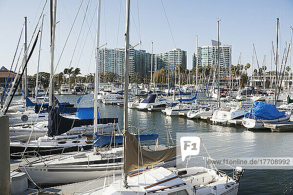 A Busy Harbour Full Of Boats; California  United States Of America