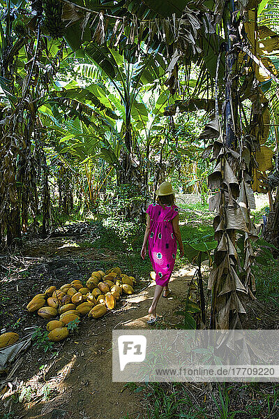 A Woman Walks On A Path Through A Lush Tropical Forest; Ulpotha  Embogama  Sri Lanka