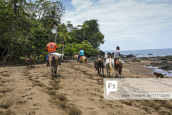 Several visitors to Caletas Reserve  Osa Peninsula  do horseback riding on the beach in Costa Rica. An expedition vessel anchors in the water; Costa Rica