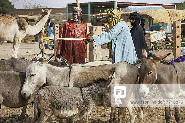 Niger  Housa Man Barting With Tuareg Livestock Trader At Agadez's Livestock Market; Agadez