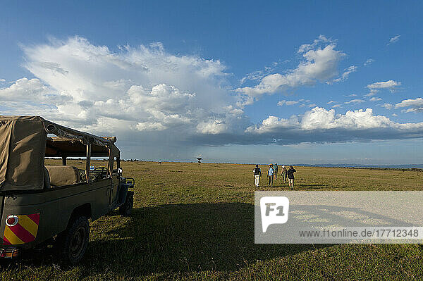 Touristen  die vom Geländewagen aus auf Wandersafari gehen  Ol Pejeta Conservancy; Kenia
