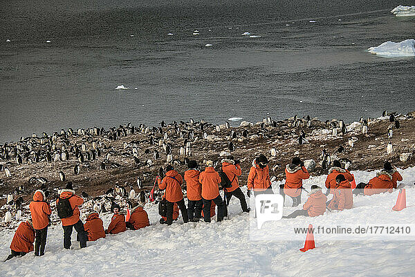Besucher der Ducas-Insel in der Antarktis fotografieren bei einer späten Tageswanderung eine Kolonie von Eselspinguinen (Pygoscelis papua). Die Brutkolonien der Eselspinguine befinden sich auf eisfreien Flächen wie dieser; Antarktis