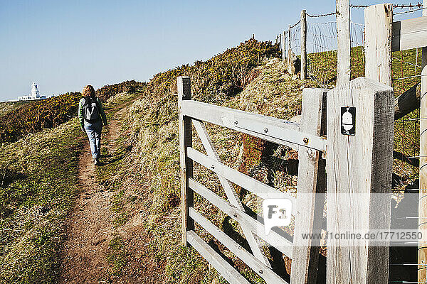 Wanderin mit Leuchtturm Strumble Head in der Ferne  Pembrokeshire Coast Path  Südwestwales; Pembrokeshire  Wales