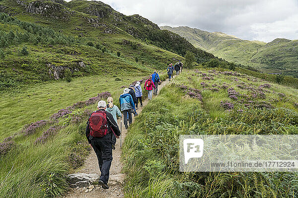 Eine Gruppe von Wanderern bewegt sich durch die üppige Landschaft entlang des Glenfinnan Trail bei Glenfinnan  Schottland; Glenfinnan  Schottland