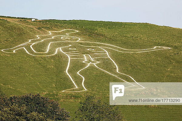Der Riese von Cerne Abbas  der auch als The Rude Man oder The Rude Giant bezeichnet wird  ist eine Figur eines riesigen nackten Mannes auf einem Hügel in der Nähe des Dorfes Cerne Abbas  nördlich von Dorchester  Dorset  England