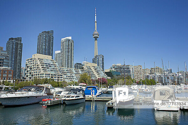 Boote angedockt im Hafen  Eigentumswohnungen und Cn Tower im Hintergrund  Harbourfront  Toronto  Ontario