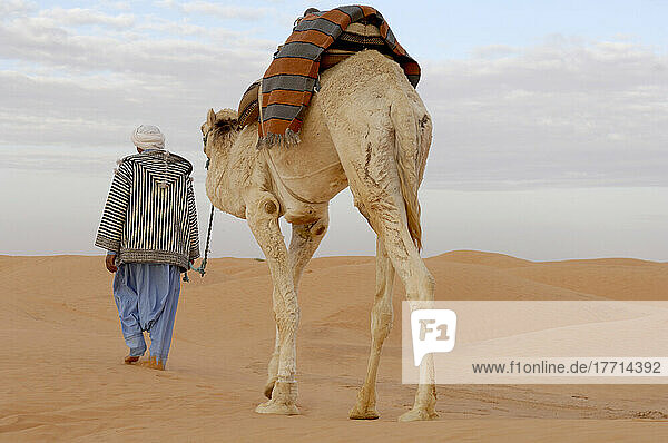 Mann geht auf einem Kamel  Wüste Sahara  Tunesien