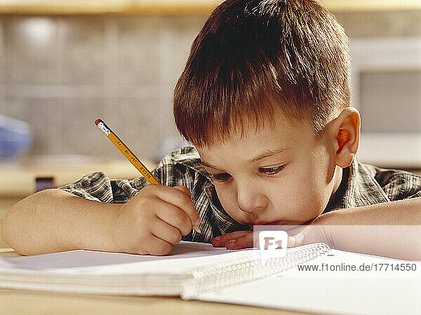 Fv4081  Matthew Plexman; Boy Writing In Book