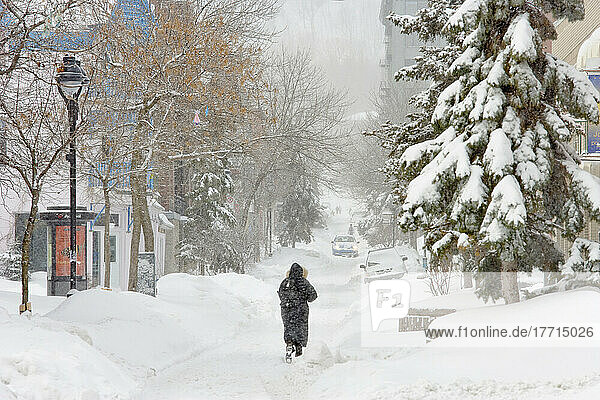 Auswahl des Künstlers: Frau geht im Schneetreiben  Montreal  Quebec