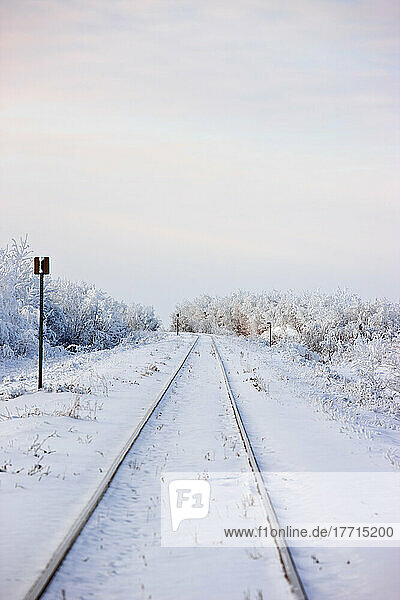 Railroad Tracks On The Prairies Covered In Hoarfrost; Saskatchewan  Canada