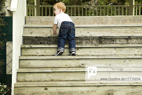 Junger Junge klettert die Treppe hoch; Ontario Kanada