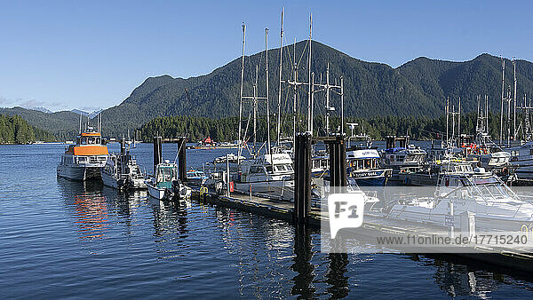 Im Hafen von Tofino  Vancouver Island  vertäute Boote; Tofino  British Columbia  Kanada