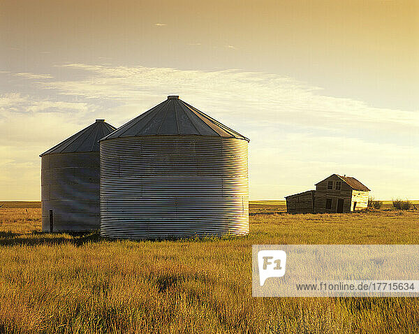 Wahl des Künstlers: Getreidesilos und altes Bauernhaus  in der Nähe von Ponteix  Saskatchewan