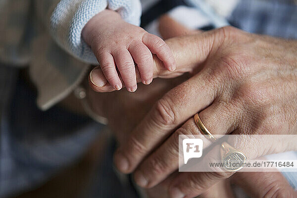 Neugeborenes Baby hält den Zeigefinger des Großvaters; Toronto  Ontario  Kanada
