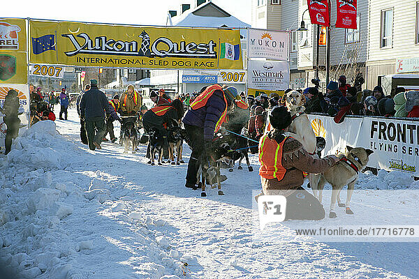 Start des Yukon Quest Hundeschlittenrennens  Innenstadt von Whitehorse  Yukon