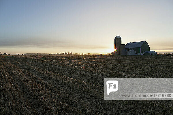 Landwirtschaftliches Feld in der Morgendämmerung; Caledon  Ontario  Kanada