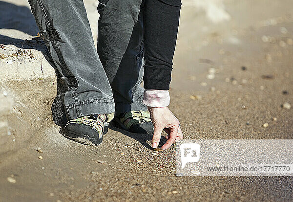 Frau pflückt Steine am Strand von Gimli  Lake Winnipeg  Manitoba  Kanada.