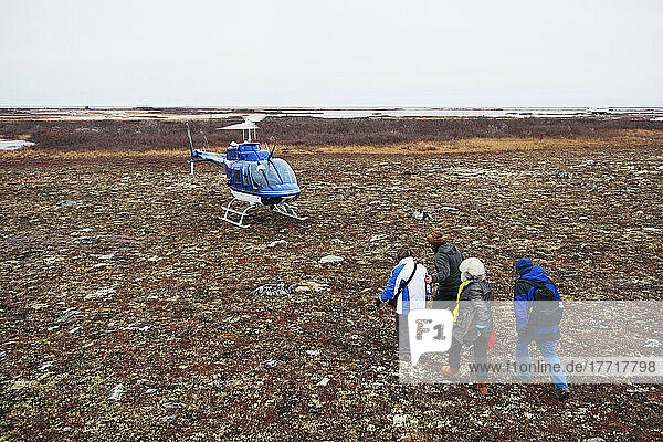Menschen nähern sich einem Hubschrauber in der Tundra; Churchill  Manitoba  Kanada