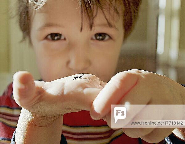 Young Boy Holding An Insect In His Hand  King City  Ontario