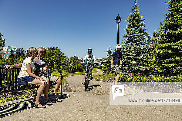 Brüder  die gemeinsam Zeit in der Nachbarschaft verbringen  einer auf einem Fahrrad und einer auf einem Skateboard  während die Eltern mit ihrem Hund auf einer Bank sitzen und zusehen; Edmonton  Alberta  Kanada