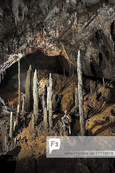 A Mulu Cave Project expedition member admires a stalagmite formation known as the Knight Watchman in Whiterock Cave.