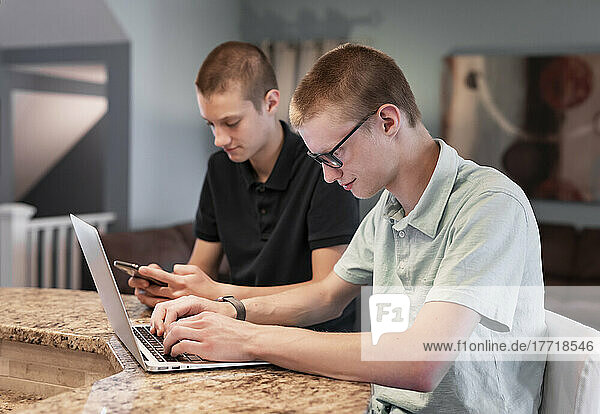 Junge erwachsene Brüder  die zu Hause gemeinsam einen Laptop und ein Smartphone benutzen; Edmonton  Alberta  Kanada