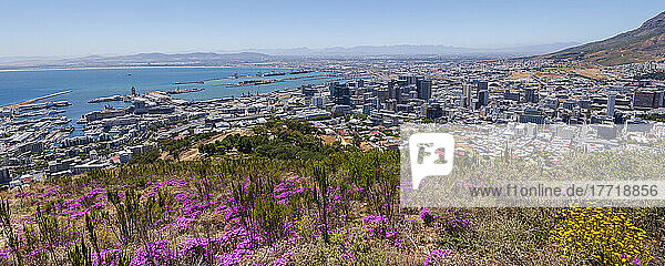 Overview of the Cape Town Harbor and port with view of the city's waterfront and skyline from Signal Hill; Cape Town  Western Cape Province  South Africa